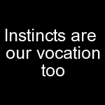 instincts are vocation too