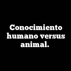 Conocimiento humano versus animal.